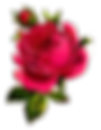 21.png